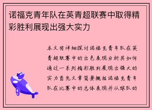 诺福克青年队在英青超联赛中取得精彩胜利展现出强大实力