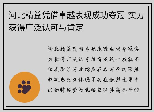 河北精益凭借卓越表现成功夺冠 实力获得广泛认可与肯定