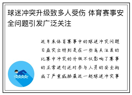 球迷冲突升级致多人受伤 体育赛事安全问题引发广泛关注